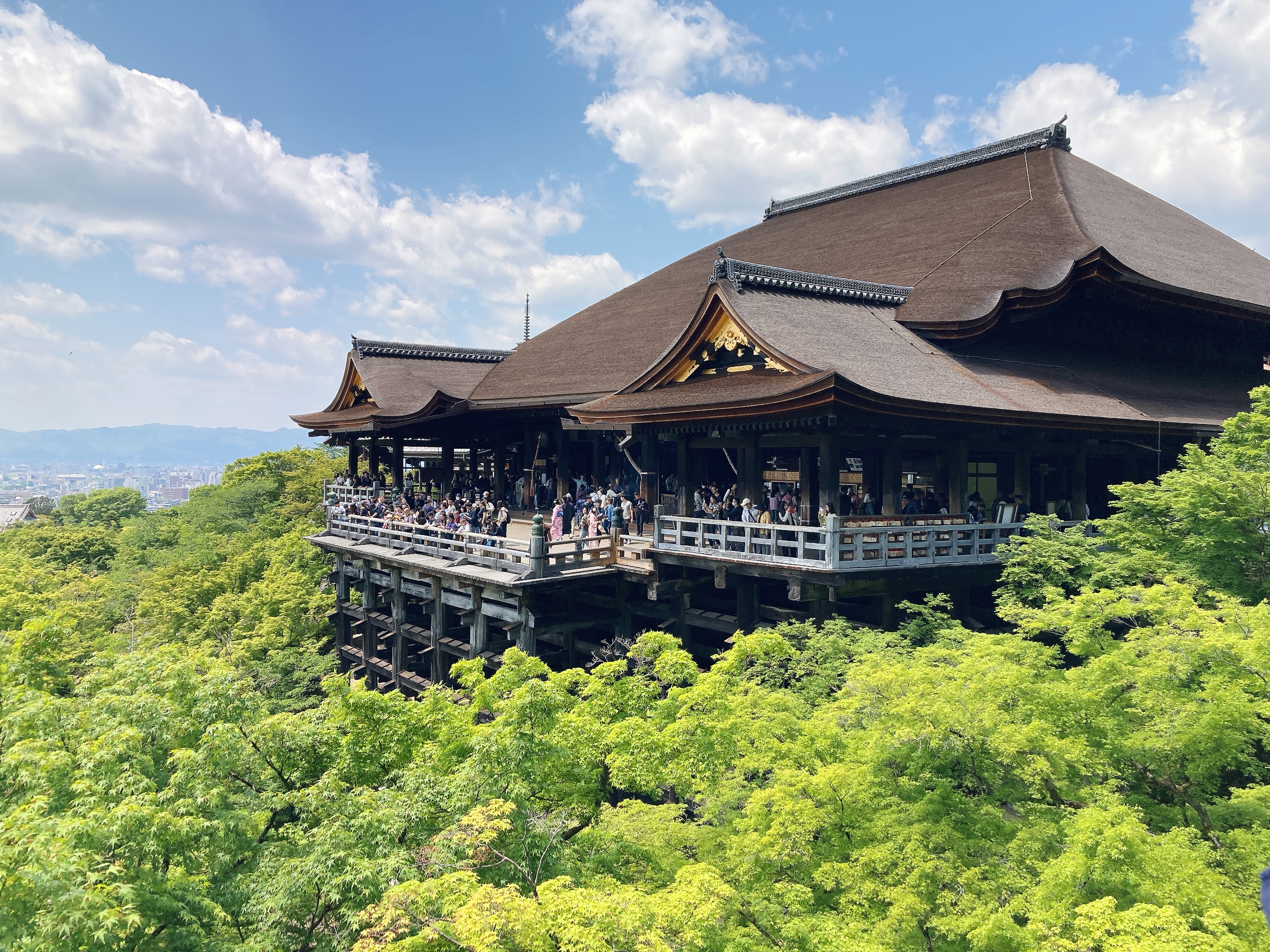 京都ひとりメシ　2025年4月